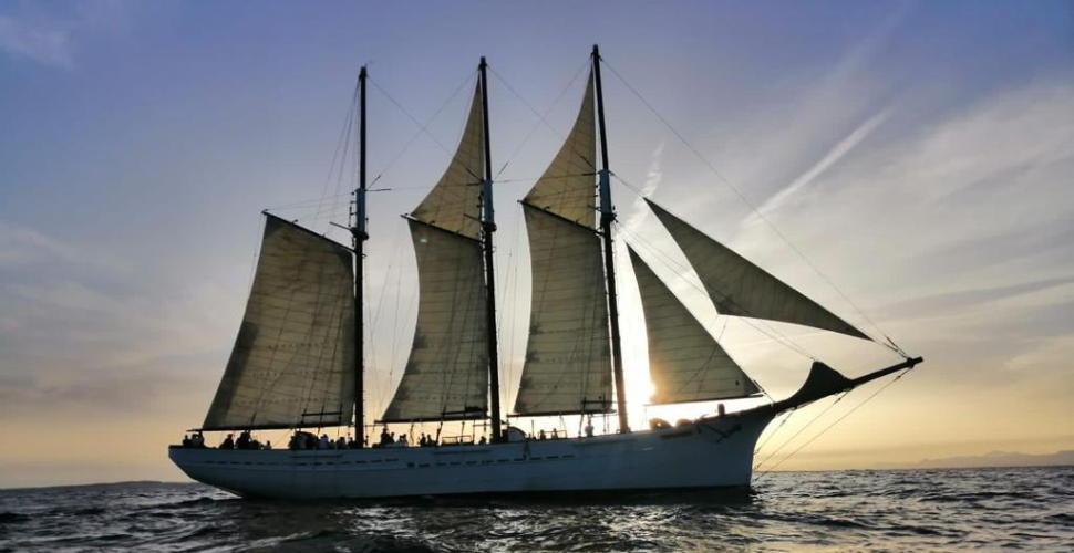 Pascual Flores will be coming to Plymouth for Pirates Weekend